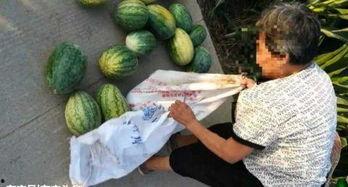 射阳吃瓜最新事件爆料,揭秘背后惊人真相 第3张 射阳吃瓜最新事件爆料,揭秘背后惊人真相 第3张